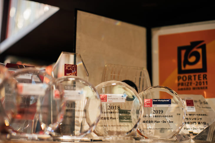 Place Plan Do See Recruiting Site